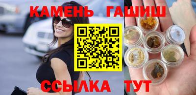 стаф Можга