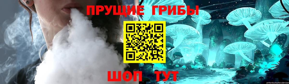 Псилоцибиновые грибы Psilocybe Чистополь